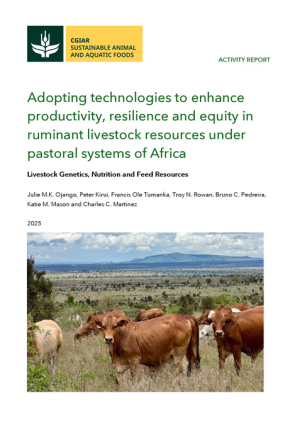 SAAF_ActivityReport_AdoptingTechnologies.pdf.jpg